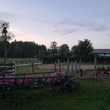 Agroturystyka Malary Pogodki Luaran gambar